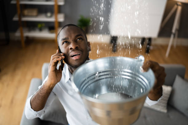 Best Flood damage cleanup  in Exmore, VA