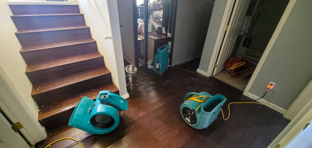 Best Water damage restoration insurance claims  in Exmore, VA