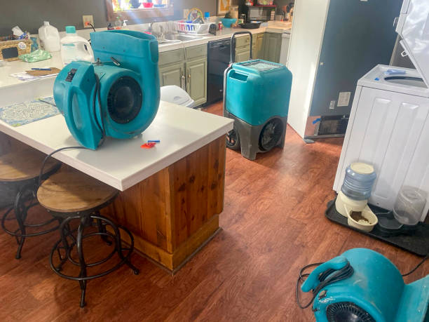 Best Flooded house restoration  in Exmore, VA