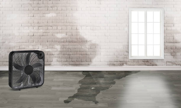 Best Residential water damage restoration  in Exmore, VA