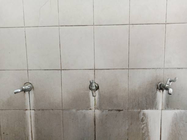 Best Flood damage cleanup  in Exmore, VA