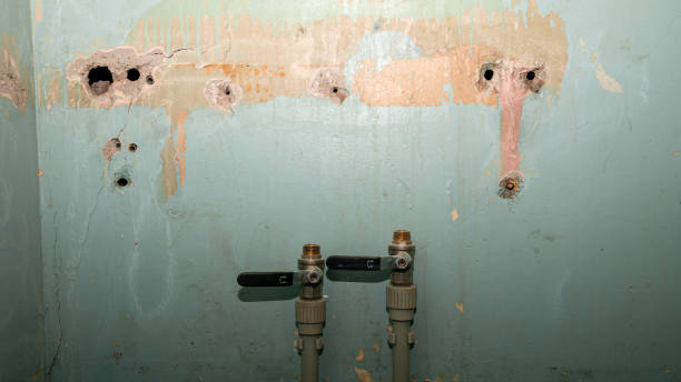 Best Residential water damage restoration  in Exmore, VA