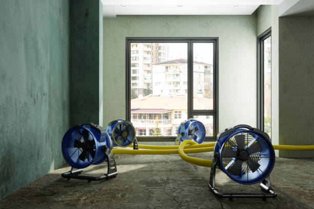 Best Water damage restoration specialists  in Exmore, VA