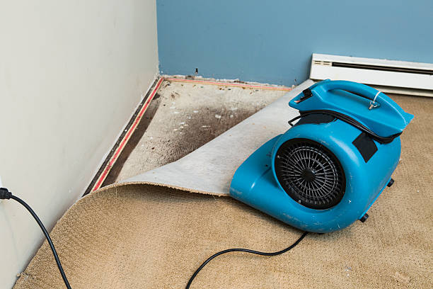  Exmore, VA Water damage restoration Pros